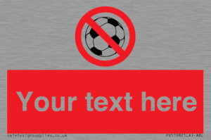 Custom No Ball Games Sign